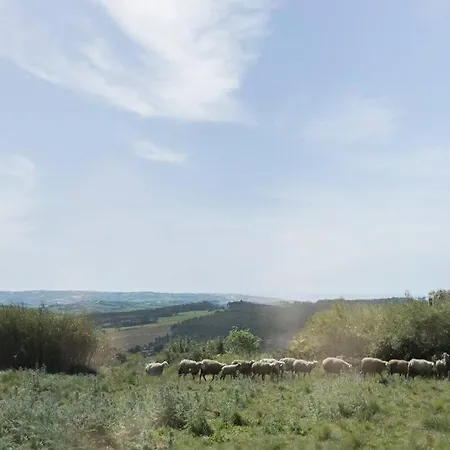 Апартаменты O Moinho 98 - A Cozy Getaway By The Coast