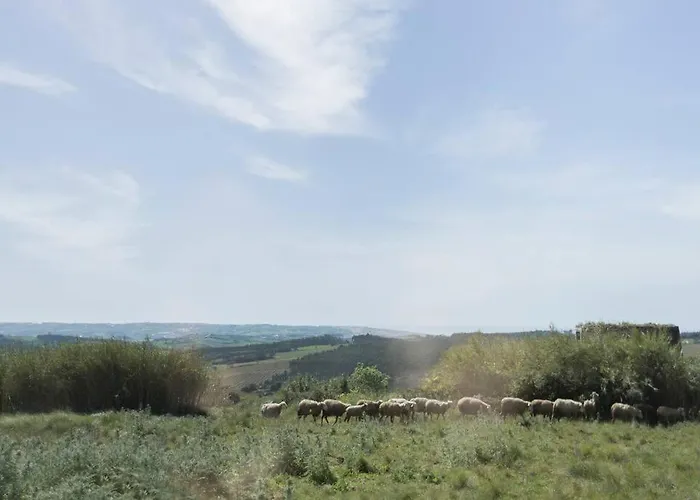 Appartamento O Moinho 98 - A Cozy Getaway By The Coast